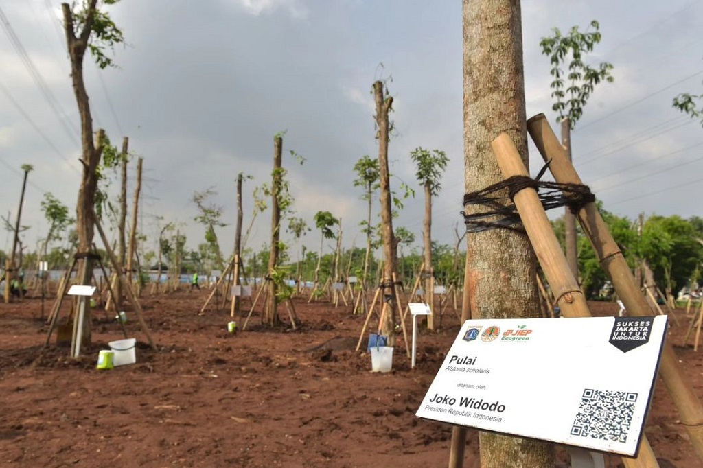 Dalam keterangannya di hadapan awak media usai kegiatan, Kepala Negara menyebut bahwa kegiatan penanaman pohon tersebut akan terus dilakukan secara bersama-sama di seluruh Tanah Air. Presiden menuturkan bahwa pelaksanaan kegiatan penanaman pohon serentak tersebut juga didukung oleh musim hujan yang dinilai waktu yang tepat untuk penanaman pohon.