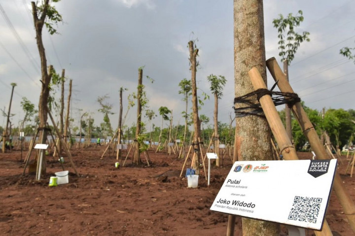 Dalam keterangannya di hadapan awak media usai kegiatan, Kepala Negara menyebut bahwa kegiatan penanaman pohon tersebut akan terus dilakukan secara bersama-sama di seluruh Tanah Air. Presiden menuturkan bahwa pelaksanaan kegiatan penanaman pohon serentak tersebut juga didukung oleh musim hujan yang dinilai waktu yang tepat untuk penanaman pohon.