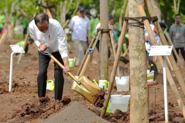 “Ini adalah dalam rangka antisipasi perubahan iklim, mengantisipasi pemanasan global yang sudah kita rasakan bersama-sama dan nyata, juga dalam rangka mengatasi polusi yang ada di Jabodetabek,” ucap Presiden dalam sambutannya setelah menanam pohon Pulai dalam kegiatan tersebut.