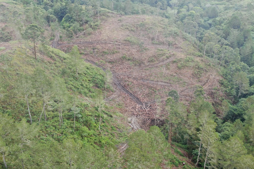 Kelompok Studi dan Pengembangan Prakasa Masyarakat (KSPPM) mengungkapkan peristiwa yang terjadi di Desa Simangulampe Bakti Raja Humbang Hasundutan, Jumat, 1 Desember 2023 yang lalu tidak terlepas dari penebangan atau kerusakan hutan yang sudah terjadi di hulu Desa Simangulampe.
