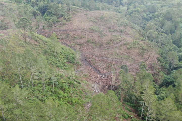 Kelompok Studi dan Pengembangan Prakasa Masyarakat (KSPPM) mengungkapkan peristiwa yang terjadi di Desa Simangulampe Bakti Raja Humbang Hasundutan, Jumat, 1 Desember 2023 yang lalu tidak terlepas dari penebangan atau kerusakan hutan yang sudah terjadi di hulu Desa Simangulampe.