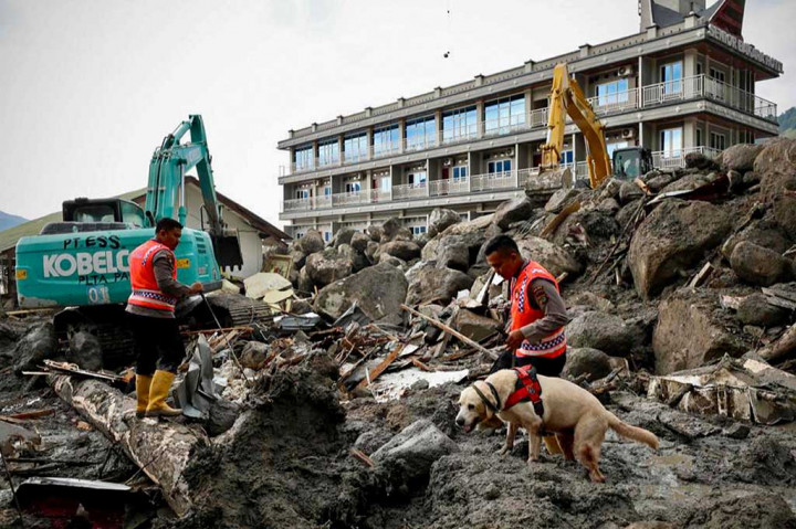 Petugas kepolisiam membawa anjing pelacak saat mencari korban hilang akibat bencana tanah longsor di Desa Simangulampe, Humbang Hasundutan, Sumatera Utara, Selasa, 5 Desember 2023.