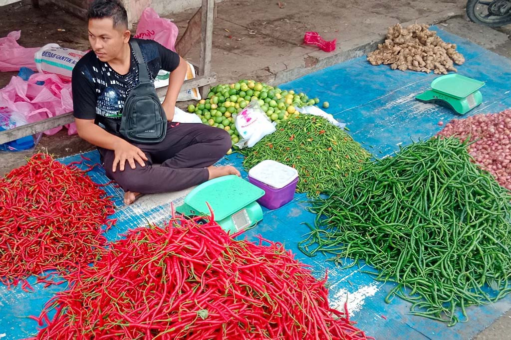 Pasalnya stok barang di pasar-pasar tradisional juga sangat terbatas sehingga rawan terjadi kelangkaan. Kondisi demikian telah berakibat ketersedian cabai merah di tingkat pengecer sulit dapati.