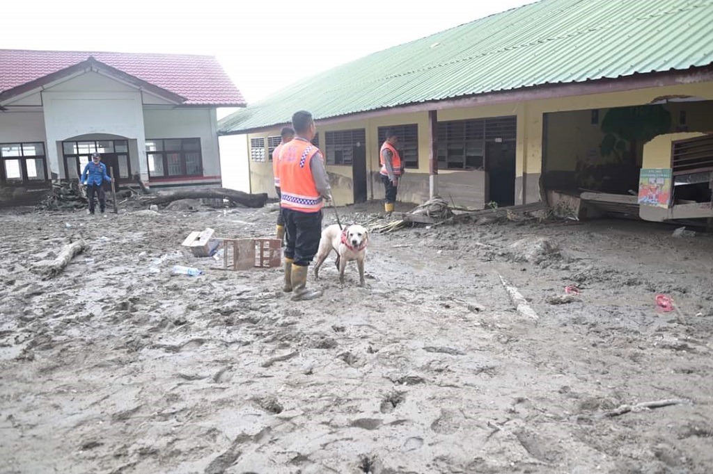 Bupati Humbahas Dosmar Banjar Nahor mengatakan segala upaya akan terus dilakukan untuk mencari korban banjir bandang dan longsor. Bahkan alat berat yang saat ini sebanyak 14 unit akan terus dikerahkan bekerja sampai malam hari.