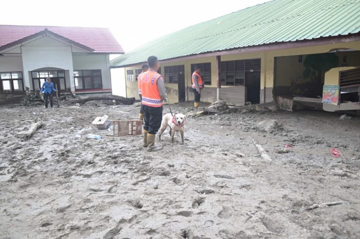 Bupati Humbahas Dosmar Banjar Nahor mengatakan segala upaya akan terus dilakukan untuk mencari korban banjir bandang dan longsor. Bahkan alat berat yang saat ini sebanyak 14 unit akan terus dikerahkan bekerja sampai malam hari.