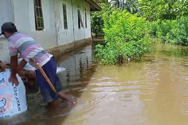 Kepala Dusun Purwodadi, Sukriadi mengatakan, banjir ini telah terjadi sejak sepekan terakhir. Namun ketinggian banjir terus bertambah sejak empat hari terakhir.