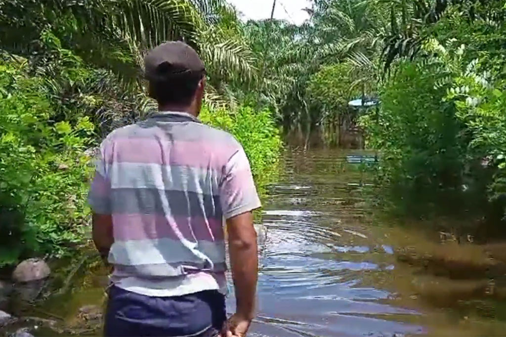 Saat ini para korban banjir membutuhkan bantuan sembako dari pemerintah setempat. Hal ini penting segera disalurkan lantaran warga sulit beraktivitas untuk bekerja lantaran akses jalan di desa ini terendam banjir hingga 2 meter. 