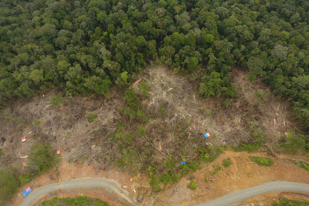 Lalu tercemarnya biota sungai sehingga terancam punah ikan keureuling, ikan jurung, belut dan lainnya. Sebelumnya kekayaan sungai itu dikenal sebagai sumber ekonomi untuk menafkahi keluarga masyakat sekitar.