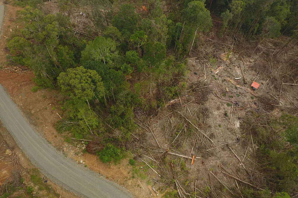 Akibatnya, ratusan hektare (ha) hutan lindung nan rimbun, lereng bukit dan tebing sungai sepanjang Sungai Krueng Geupo, kini telah gundul. Cukup banyak bertaburan lubang besar sisa galian alat berat becho (eskavator) di bekas pencarian biji emas.