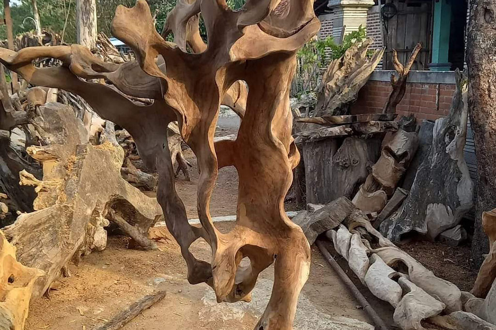 Di Blora saat ini, muncul sentra kerajinan akar jati terletak di Desa Tempellemahbang, Kecamatan Jepon, Kabupaten Blora atau kurang lebih tujuh kilometer arah timur Kota Blora, setidaknya 50 perajin kayu memanfaatkan sisa tebangan pohon jati yakni akar menjadi berbagai bentuk kerajinan dari mulai furniture hingga hiasan rumah.