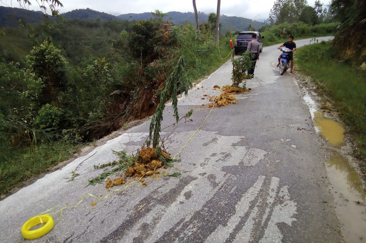 Tingginya curah hujan berdampak pada labilnya serta pergeseran tanah hingga menimbulkan longsor hingga memakan badan jalan, serta pohon tumbang.