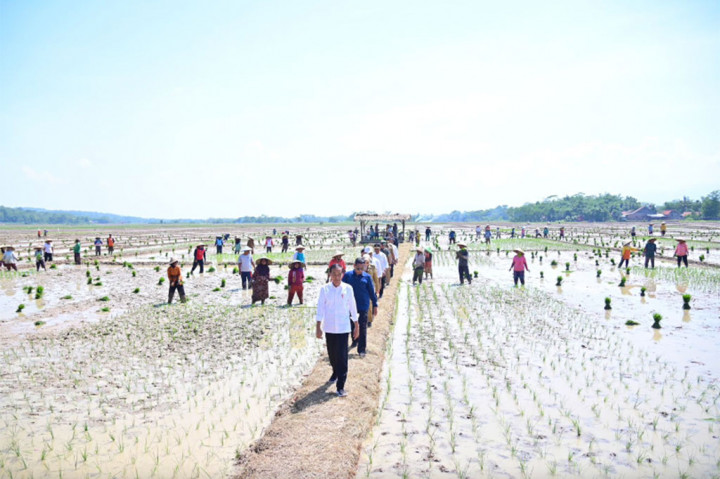 Jika sebelumnya petani harus menunjukkan Kartu Tani untuk bisa memperoleh pupuk bersubsidi, saat ini di sejumlah daerah tertentu petani hanya tinggal menunjukkan KTP untuk mendapat pupuk bersubsidi. 
