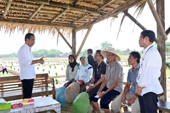 Namun, dia mengaku belum bisa mengumumkan jumlah tambahan subsidi pupuk karena perlu dibahas lebih lanjut dengan Menteri Keuangan dan harus disetujui oleh DPR RI.