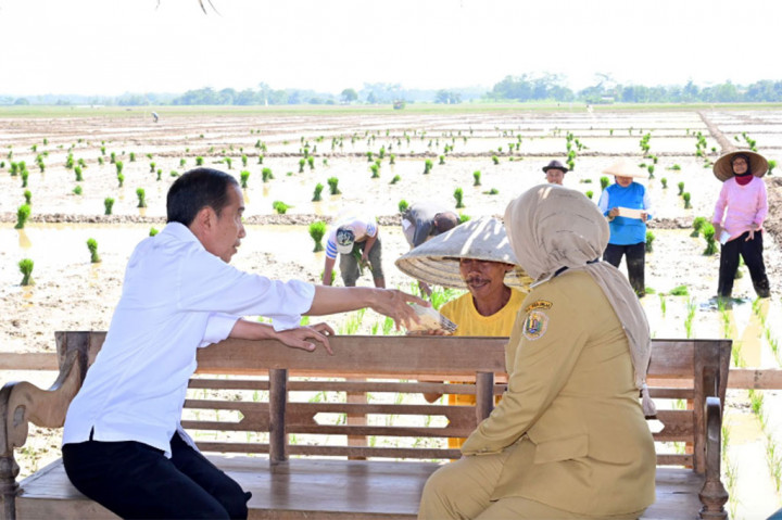 Lebih lanjut Jokowi menjelaskan bahwa pemerintah telah menyederhanakan prosedur bagi para petani yang membutuhkan pupuk bersubsidi.