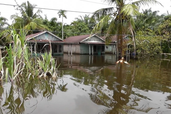 Selain merendam ribuan rumah, banjir juga merendam fasilitas umum lainnya, seperti sekolah, masjid, pondok pesantren, dan sejumlah perkantoran di Aceh Singkil. 