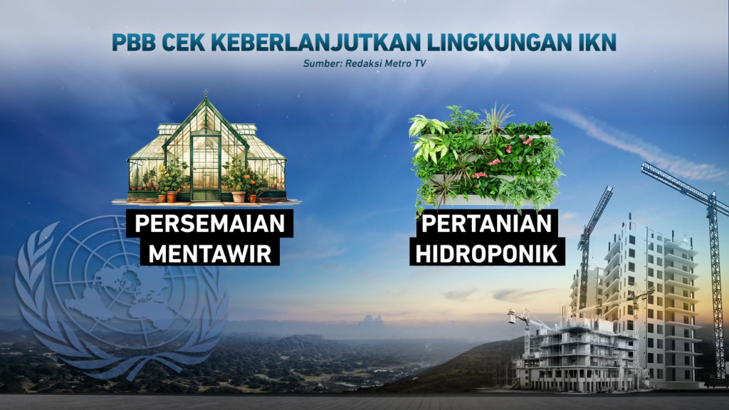 PBB Tinjau IKN, Seberapa Ramah Lingkungan IKN?
