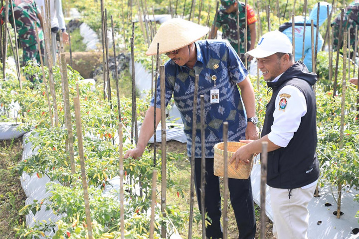 Kegiatan panen itu dilaksanakan secara serentak dengan tiga provinsi lain, meliputi Banten, DKI, dan Jabar. Panen secara serentak itu dilakukan sebagai upaya stabilisasi harga cabai.