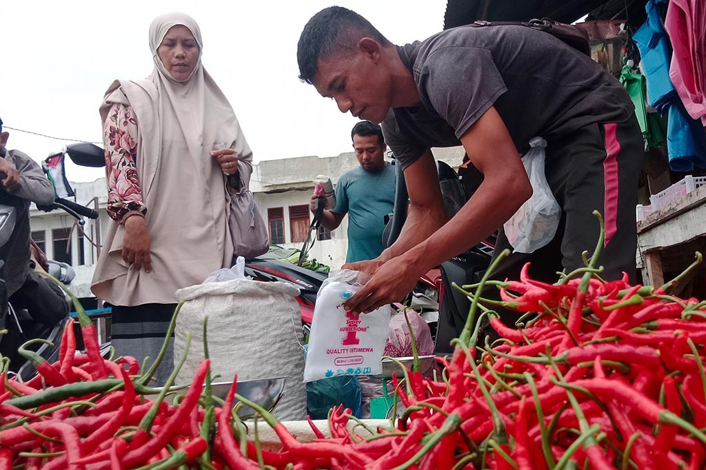 Melandainya harga tersebut juga tehadap cabai rawit, yakni dari dua pekan lalu Rp60.000 per kg, sekarang turun menjadi Rp42.000 per kg. Itu merupakan hasil produksi panen dari petani lokal di Pidie.
