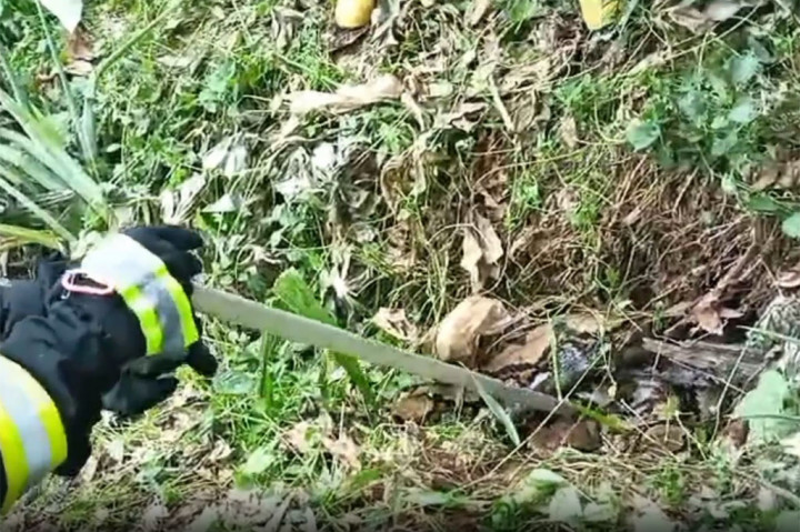 Setelah menemukan lokasi sarang persembunyian, warga RT 11 Kelurahan Timur Indah, Kecamatan Singaran Pati, Bengkulu dibantu petugas pemadam kebakaran Kota Bengkulu mencoba menangkap ular phiton yang meresahkan tersebut.