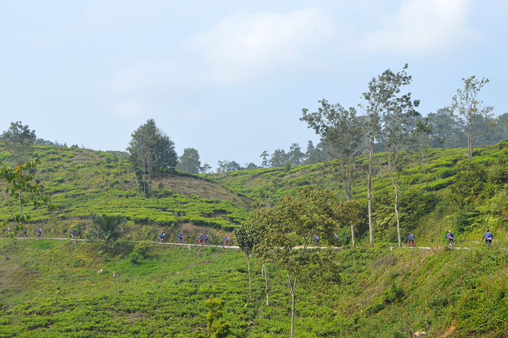 Para penghobi sepeda gunung tidak ada salahnya untuk mencoba rute yang satu ini. Rute Kebun Teh Cianten dilanjutkan ke Cisalada, Kabupaten Bogor. Rute ini menampilkan pegunungan nan sejuk dan indah dipandang mata.