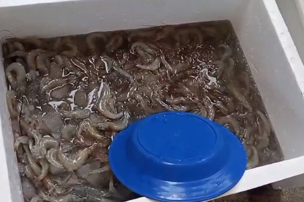 Kegiatan yang dilakukan sejak pagi ini disambut antusias warga yang ingin membeli ikan untuk persiapan malam tahun baru.