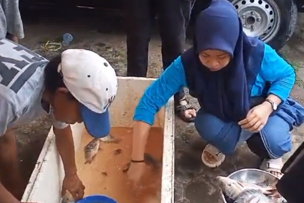 Sejumlah warga berbondong bondong untuk membeli ikan empang dengan harga terjangkau dan lebih murah dibanding ikan laut yang saat ini harganya naik hingga dua kali lipat dari harga sebelumnya.