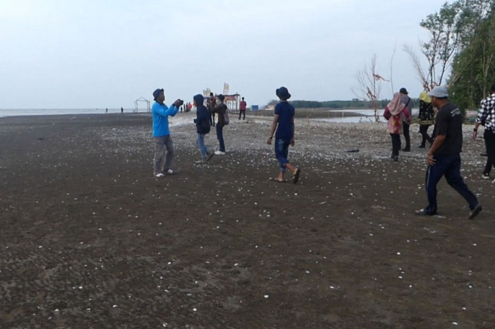 Seribu keluarga warga Desa Surodadi, Kecamatan Sayung, Demak selama bertahun-tahun harus hidup dalam rendaman rob, memasuki tahun anyar ini sedikit lega karena ancaman banjir laut pasang sedikit berkurang, munculnya pulau baru di perairan utara seluas 60 hektare yang diberi nama Arnavat mampu membentengi desa dari abrasi pantai di desa itu.