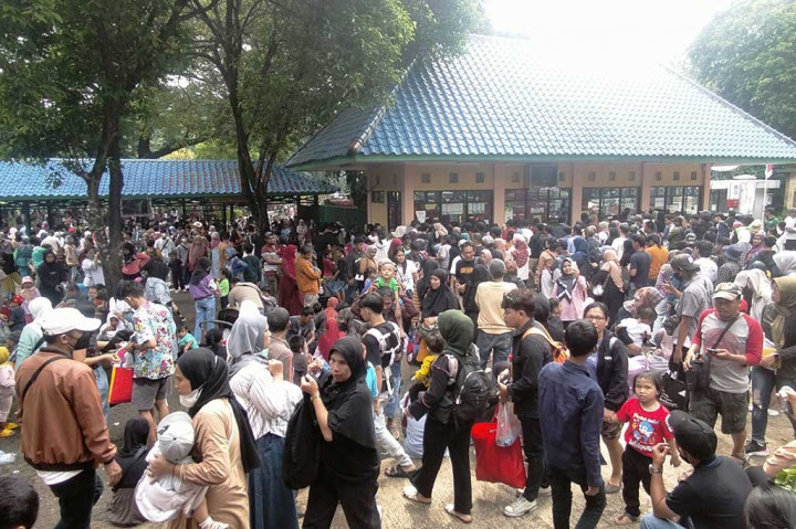 Pengelola Taman Margasatwa Ragunan di Pasar Minggu, Jakarta Selatan, mencatat hingga Senin pukul 16.00 WIB jumlah pengunjung mencapai 96.111 orang pada libur Tahun Baru 2024.