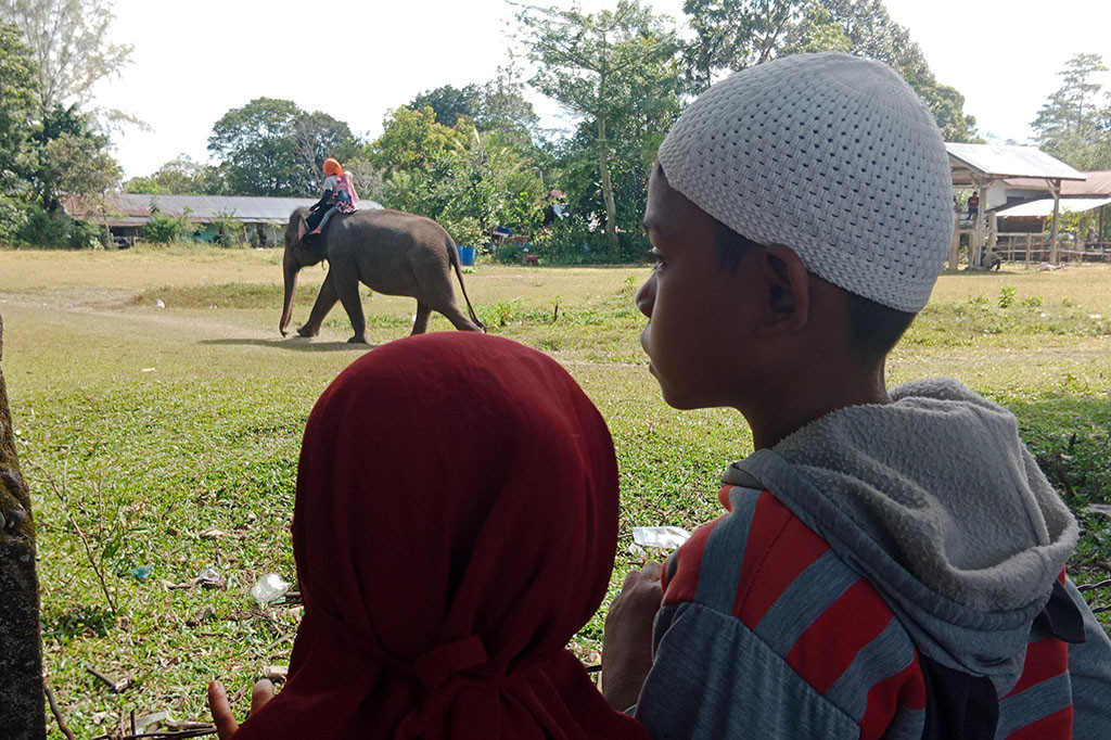 Gelombang pengunjung itu antara lain berasal dari Kota Banda Aceh Ibukota Provinsi Aceh, Kabupaten Aceh Besar, Pidie, Pidie Jaya, Bireuen, Aceh Utara, Aceh Timur, Bener Meriah, Aceh Tengah, Kota Lhok Seumawe dan
lainnya. Ada datang dengan rombongan, bersama sekeluarga dan tidak sedikit menggunakan motor bersama teman sebaya.