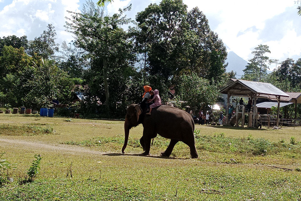 Lokasi wisata sekolah gajah itu sangat strategis tegis yakni persis di pinggiran jalur nasional Banda Aceh, Aceh-Medan, Sumatera Utara. Karena itu sangat mudah dikunjungi oleh pelintas mereka yang bepergian melintasi jalur antar provinsi itu.