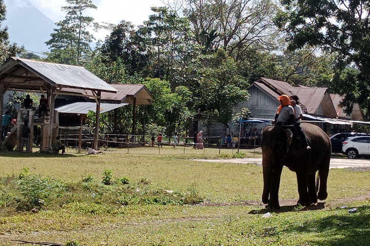 Mengisi libur nataru, Sekolah Gajah di Saree, Kecamatan Lembah Seulawah, Kabupaten Aceh Besar, Provinsi Aceh, menjadi lokasi wisata favorit. Di lokasi itu pengunjung diperbolehkan menunggang gajah jinak dan bisa mengedukasi anak-anak agar mencintai hewan dilindungi undang-undang.