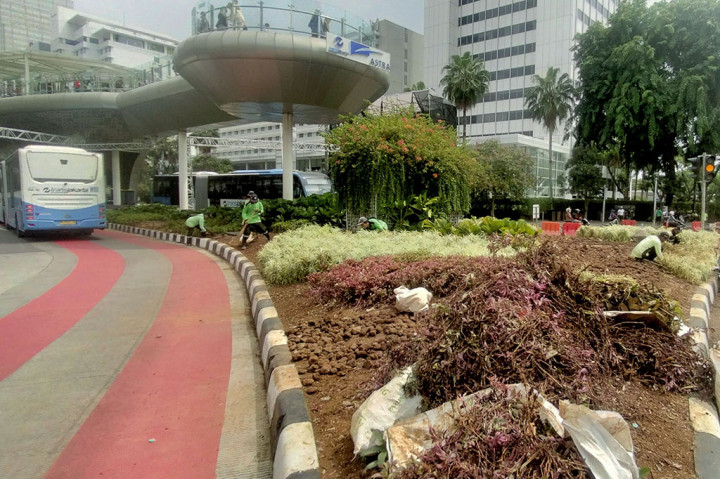 Hingga saat ini, perbaikan dalam proses pengadaan tanaman dari kebun bibit Distamhut DKI Jakarta. 