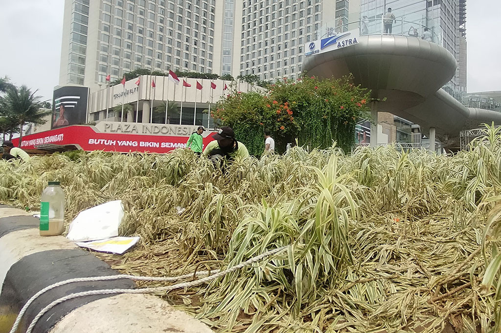 Bayu menyebut perbaikan sudah dimulai sejak Senin, 1 Januari 2023 kemarin di kawasan Thamrin dan sekitarnya melibatkan 50 personel dari petugas gabungan Dinas Pertamanan dan Hutan (Distamhut) dengan dibantu Suku Dinas (Sudin) Distamhut Jakarta Pusat.