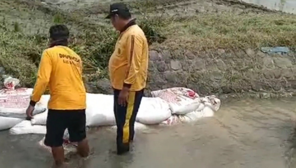 Ratusan hektare sawah di Desa Bakungtemanggungan Kecamatan Balongbendo Kabupaten Sidoarjo gagal tanam akibat tanggul irigasi jebol.