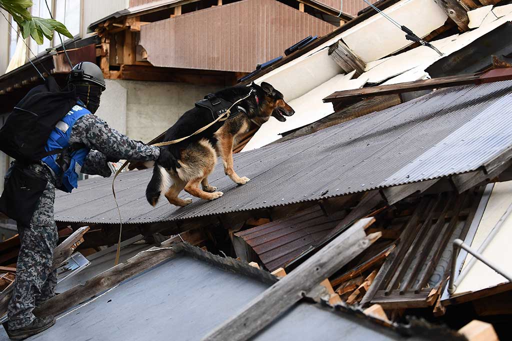 Setidaknya 240 orang masih dinyatakan hilang, lima hari setelah gempa bumi besar melanda Jepang pada hari tahun baru.