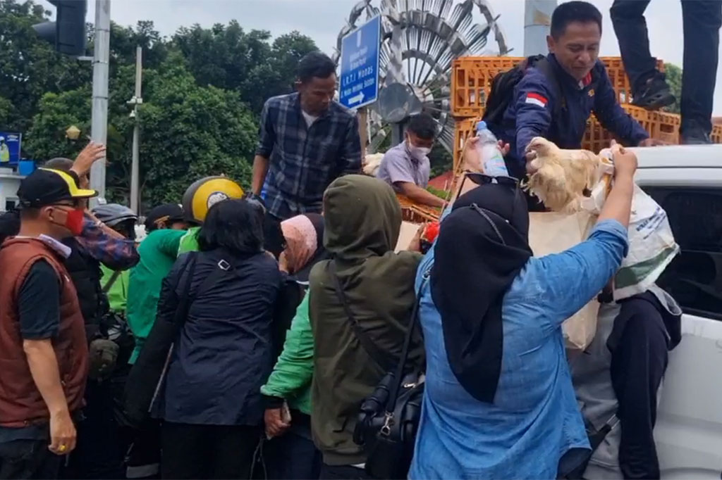 Ketua Komunitas Peternak Unggas Nasional, Alvino Antonio, menyebut aksi bagi-bagi ayam tersebut dilakukan sebagai bentuk kekesalan para peternak mandiri yang terus mengalami kerugian sejak 2018 silam, di mana harga ayam yang mereka jual selalu di bawah harga pokok produksi.