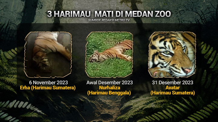 Satwa Medan Zoo yang Tercampakkan
