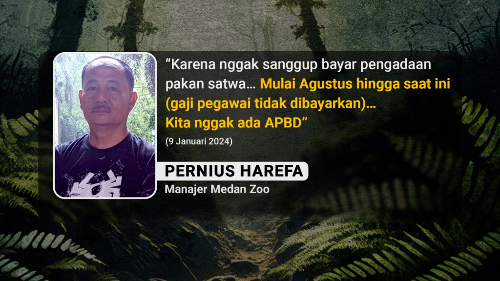 Satwa Medan Zoo yang Tercampakkan