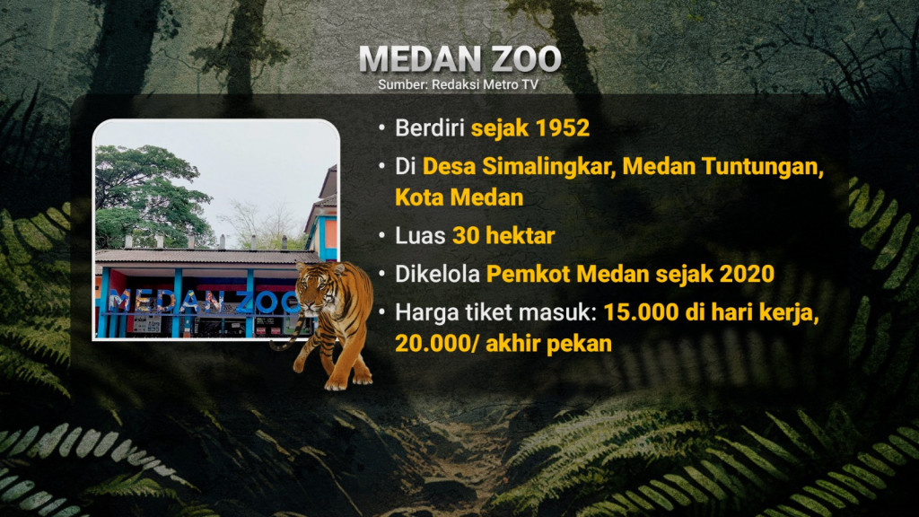 Satwa Medan Zoo yang Tercampakkan