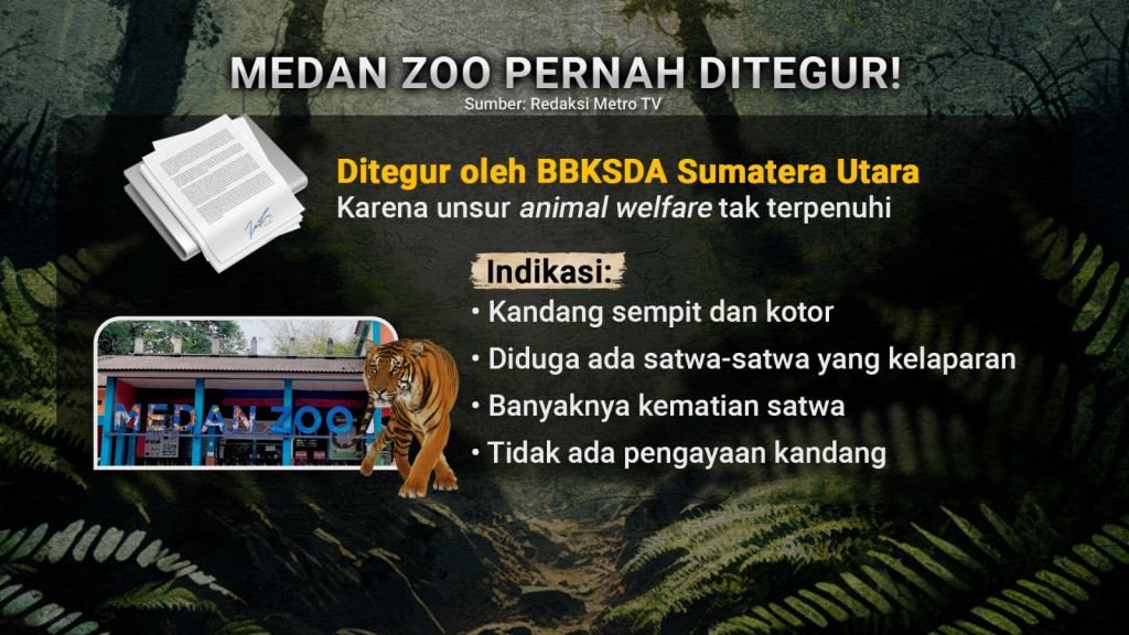 Satwa Medan Zoo yang Tercampakkan