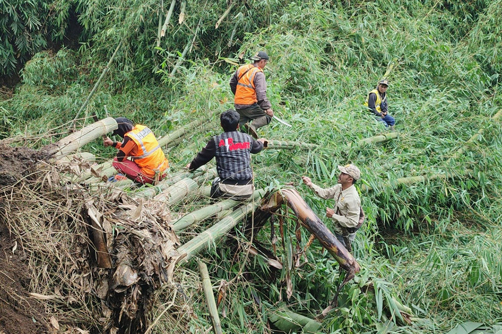 Rumpun bambu yang roboh tepatnya di Desa Kayuambon, Kecamatan Lembang, Kabupaten Bandung Barat terjadi pada Kamis, 11 Januari 2024 sekitar pukul 04.30 WIB. Hingga siang, warga dibantu kepolisian dan relawan masih melakukan evakuasi agar jalur bisa dilewati kendaraan bermotor.