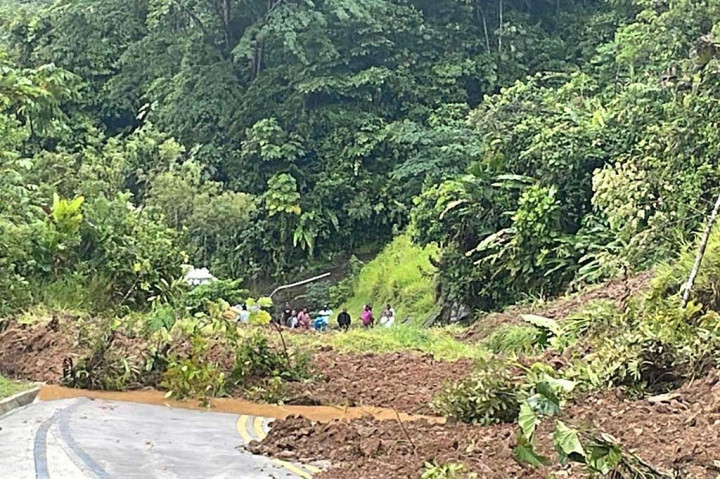 Gambar selebaran yang dirilis oleh Departemen Pemadam Kebakaran Nasional Kolombia menunjukkan area longsor yang terjadi di jalan antara Quibdo dan Medellin, Departemen Choco, Kolombia, Jumat, 12 Januari 2024.