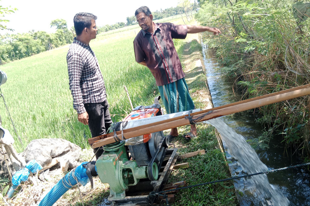 Di Kemukiman Reubee Kecamatan Delima dan Beureuleueng Kecamatan Grong-Grong misalnya, sebagian lahan tanaman padi itu mulai krisis air. Pasalnya debit air jaringan irigasi sudah menciut atau tidak cukup mengairi ke bagian hilir jaringan cacing (jaringan irigasi kecil yang menembus ke setiap petak sawah).