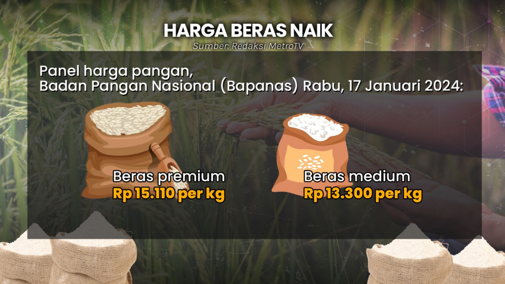 Impor Beras Pecah Rekor