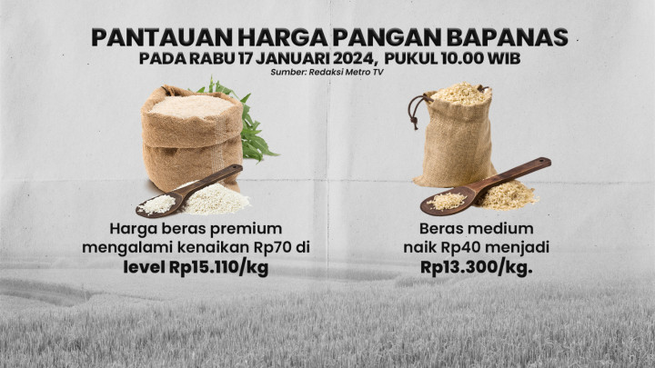 Jika Harga Beras Masih Mahal, Impor Beras untuk Siapa?