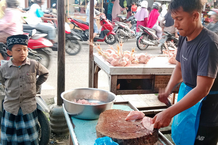 Sesuai penelusuran Media Indonesia, harga ayam pedaging atau ayam putong di provinsi paling barat Indonesia itu sejak dua pekan terkhir terjadi lonjakan sangat terasa. Bahkan sangat meresahkan para pemilik warung nasi dan penjual ayam goreng.