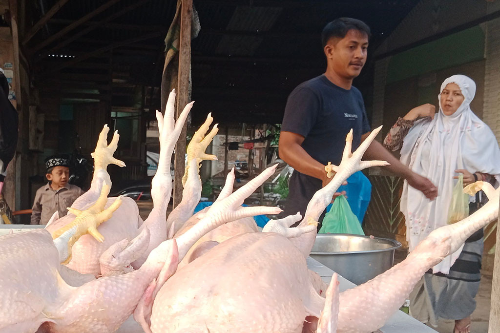 Fenomena kenaikan harga terus mewarnai di kawasan Provinsi Aceh. Setelah sebelumnya terjadi lonjakan harga tehadap tomat dan bawang merah, kini disusul oleh daging ayam potong.