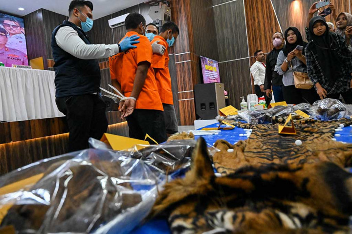 Penyidik menyangkakan keduanya melanggar mengatakan penyidik Pasal 21 Ayat (2) huruf b jo Pasal 40 Ayat (2) Undang-Undang Nomor 5 Tahun 1990 tentang konservasi sumber daya alam dan ekosistemnya.