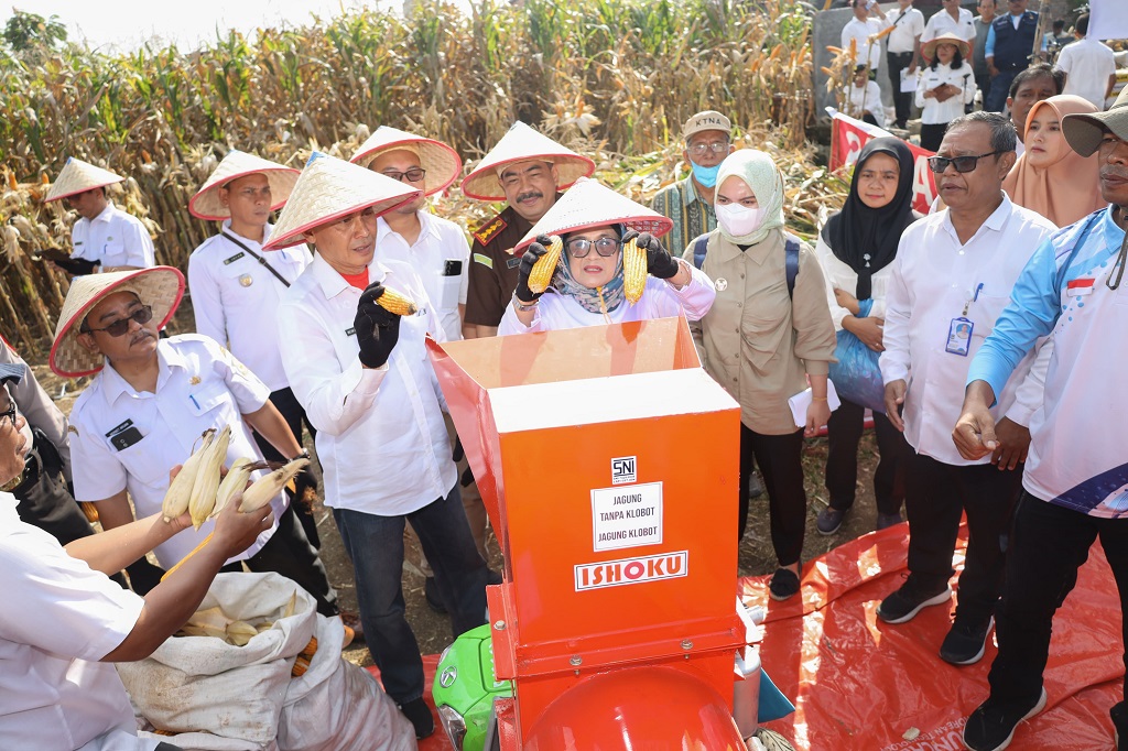 Beberapa kebijakan pro-petani lanjut dia pihaknya juga telah merehabilitasi 47 titik irigasi yang bersumber dari APBD Kota Pematangsiantar Tahun Anggaran (TA) 2023 dan 10 titik dari APBD Provinsi Sumut TA 2023.
