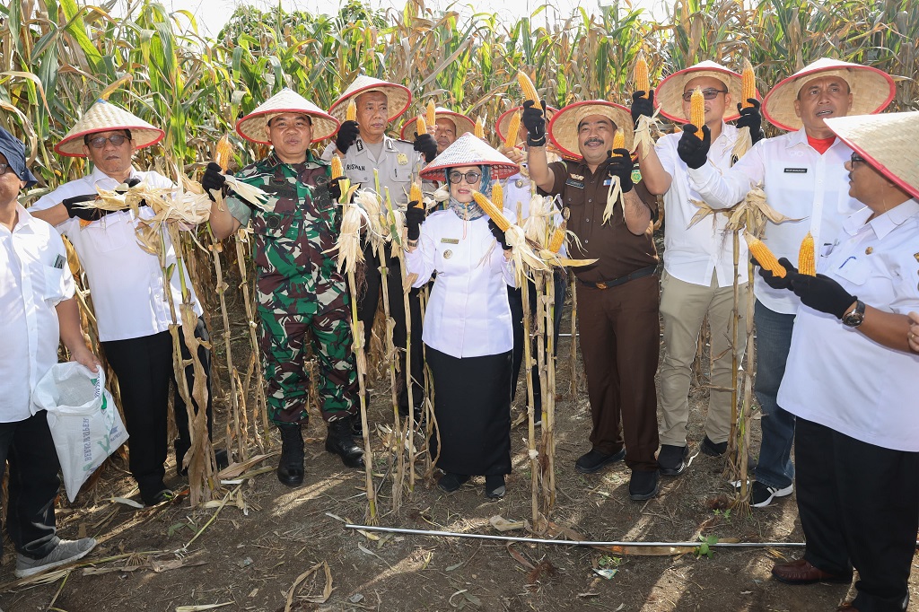 Pemerintah Kota (Pemko) Pematangsiantar Sumatra Utara melalui Dinas Ketahanan Pangan dan Pertanian menargetkan perluasan tanam baru lahan jagung seluas 1.214 hektare pada tahun 2024. Target tersebut meningkat dari tahun sebelumnya yaitu 1.196 hektare.